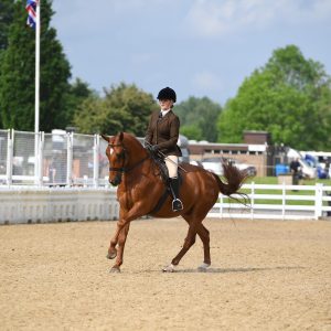 Equestrian Event