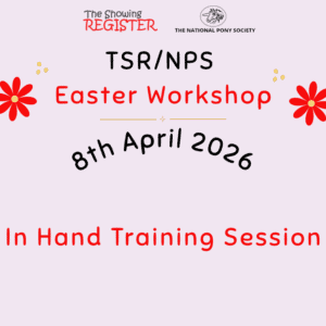 Easter Workshop - In Hand Training