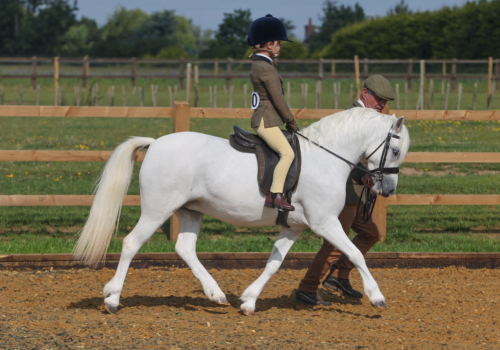 Thistledown Boom Bang-A-Bang (1)