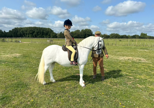 Thistledown Boom Bang-A-Bang (2)