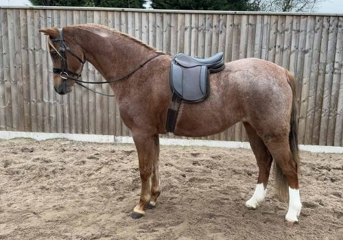 Thistledown Graceland