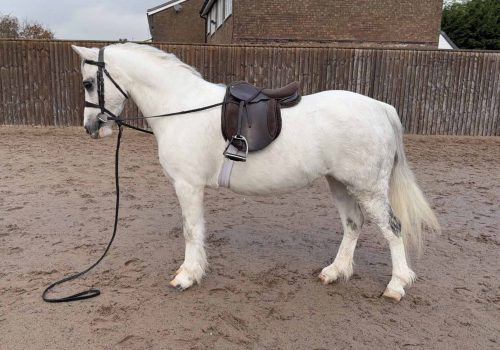 Thistledown Symphony