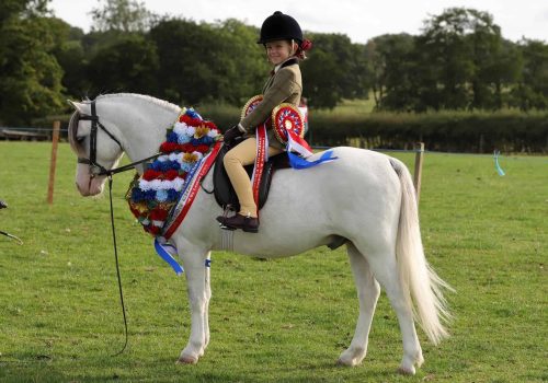 Thistledown The Ice King (2)