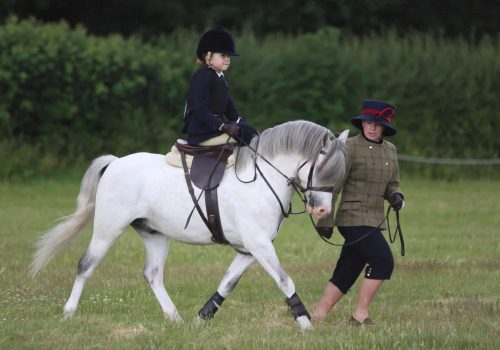 Thistledown The Ice King (3)